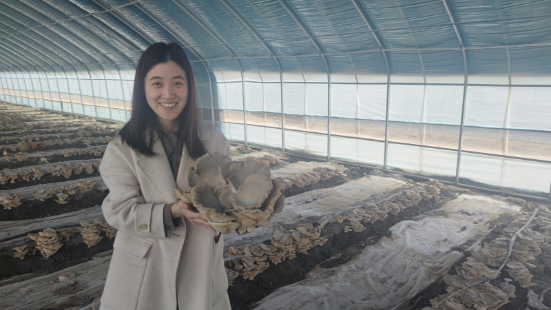 1753690714242581UG3a.png 林唯瑋 - 副本.png